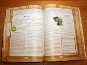 Unter dem Sternenpfeiler - Regionenbeschreibung